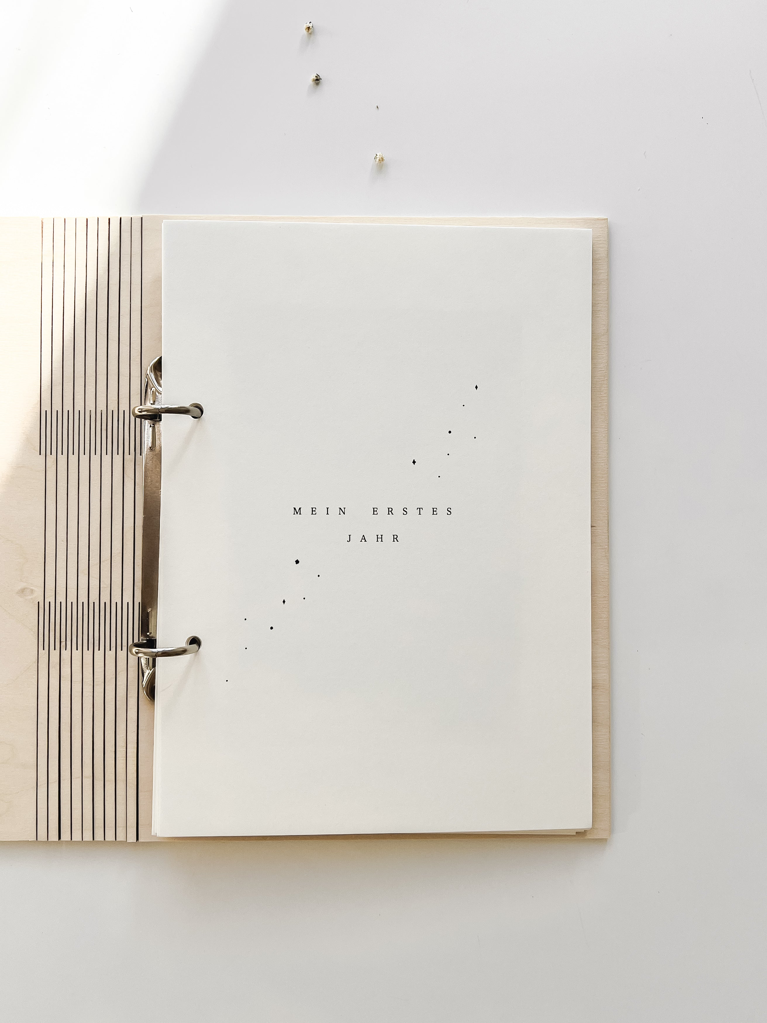 Babytagebuch - mein erstes Jahr
