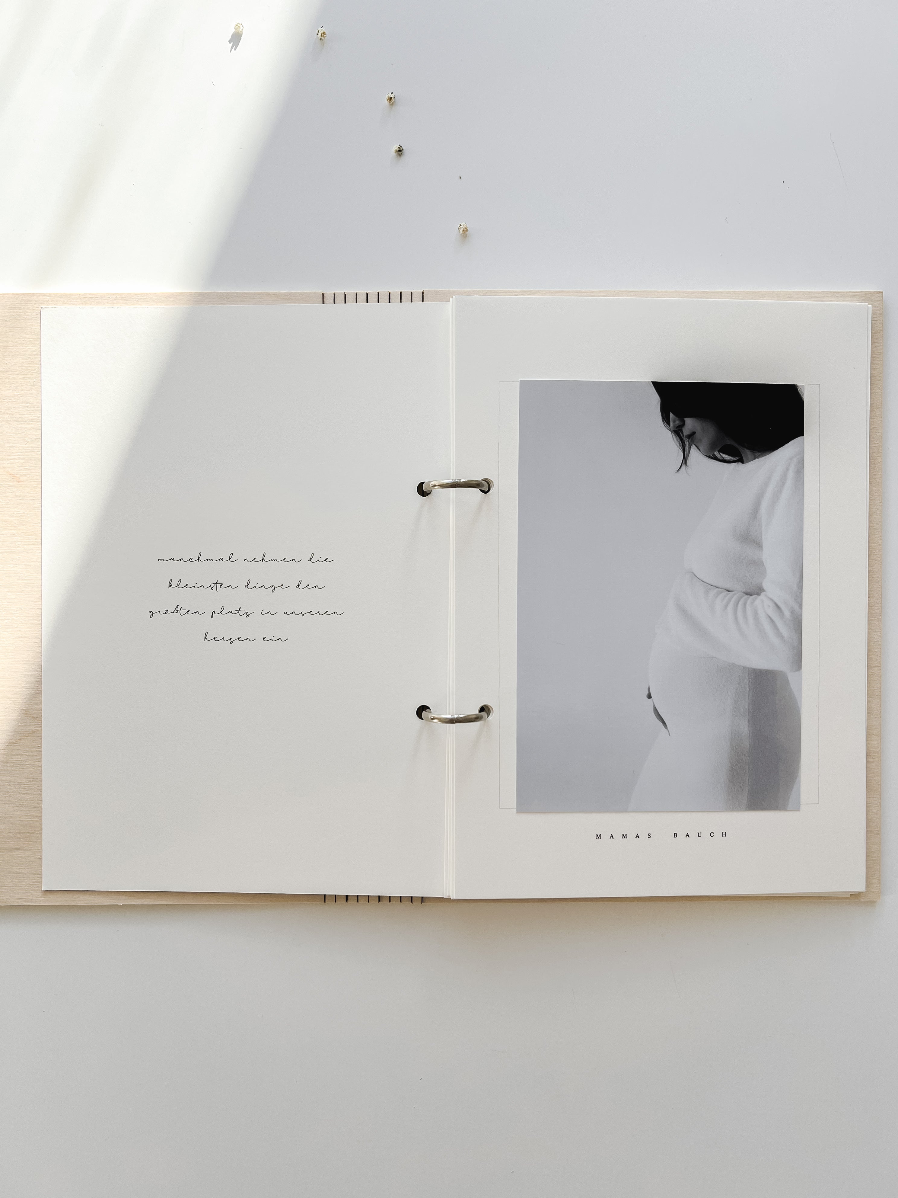 Babytagebuch - mein erstes Jahr