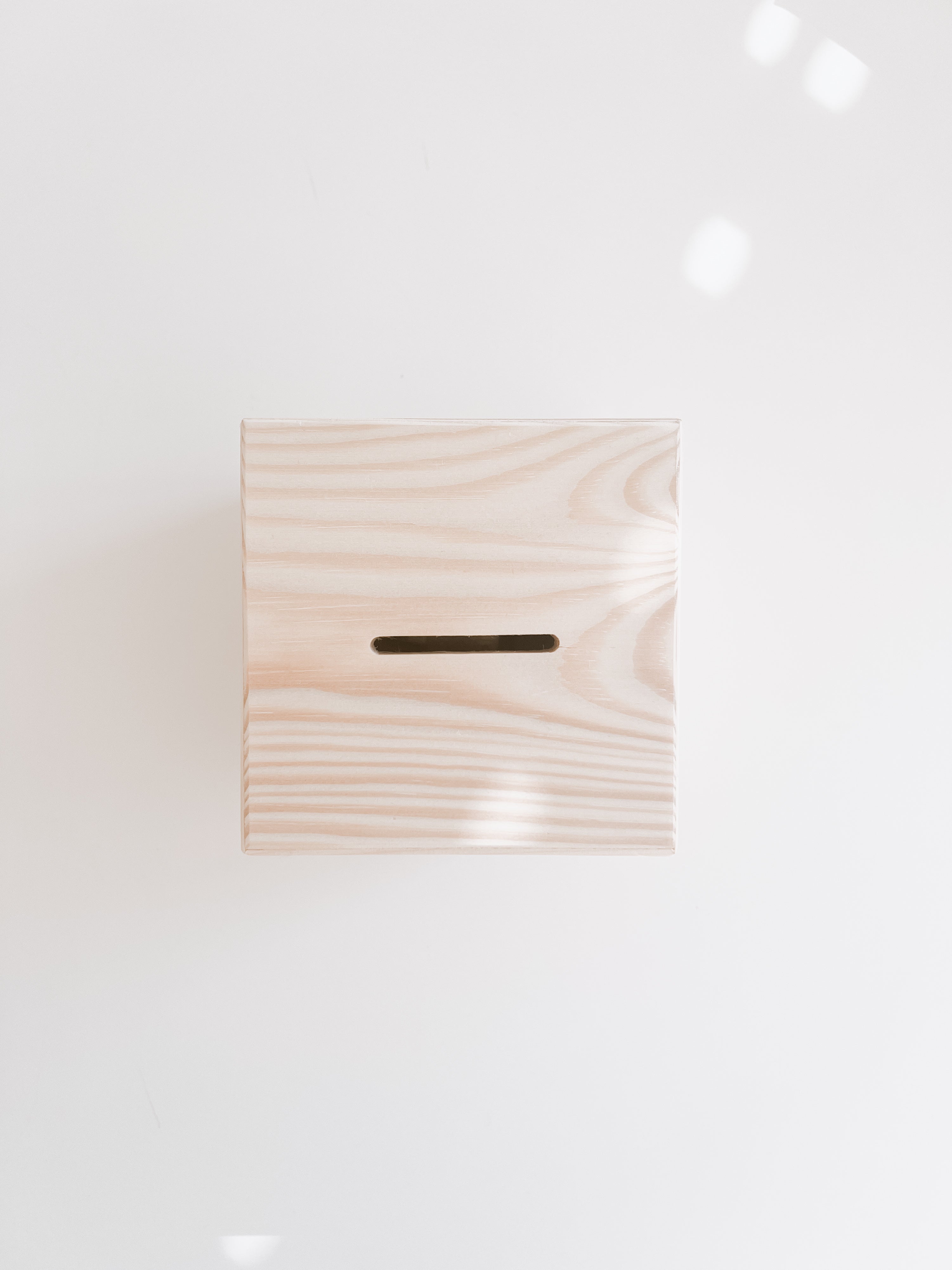 Holz Spardose personalisiert - Gänse