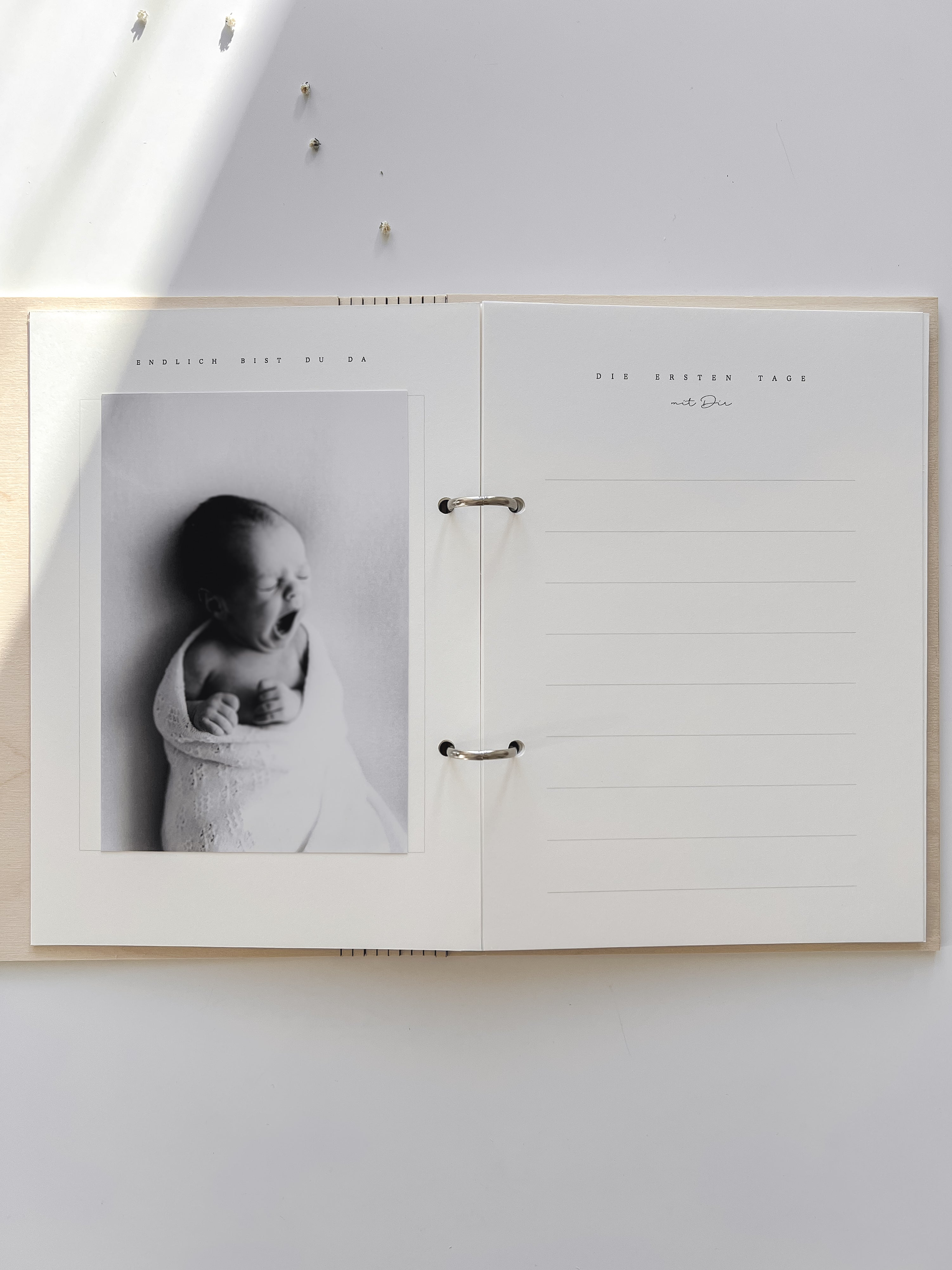 Babytagebuch - mein erstes Jahr