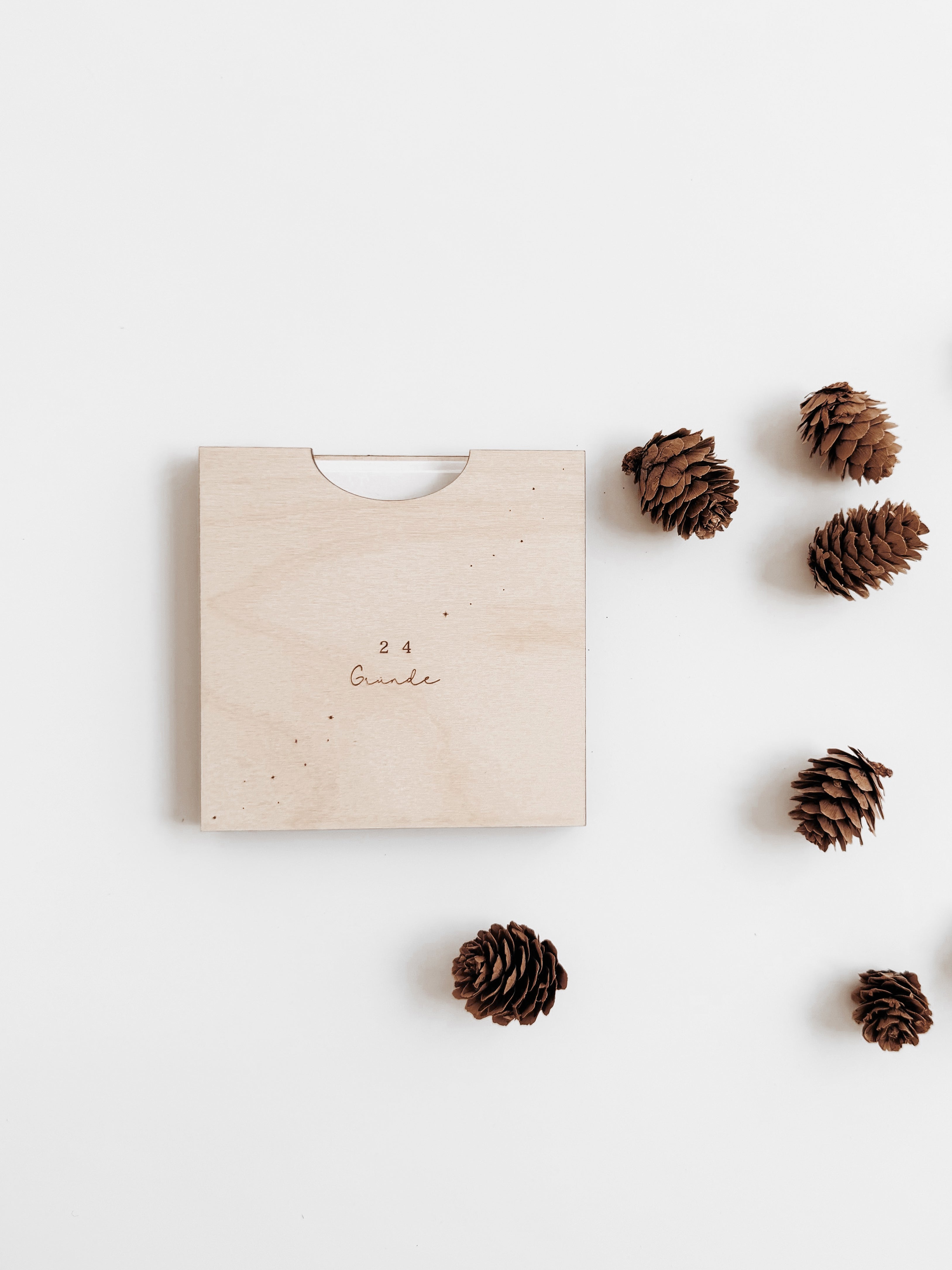 Adventskalender - 24 Gründe